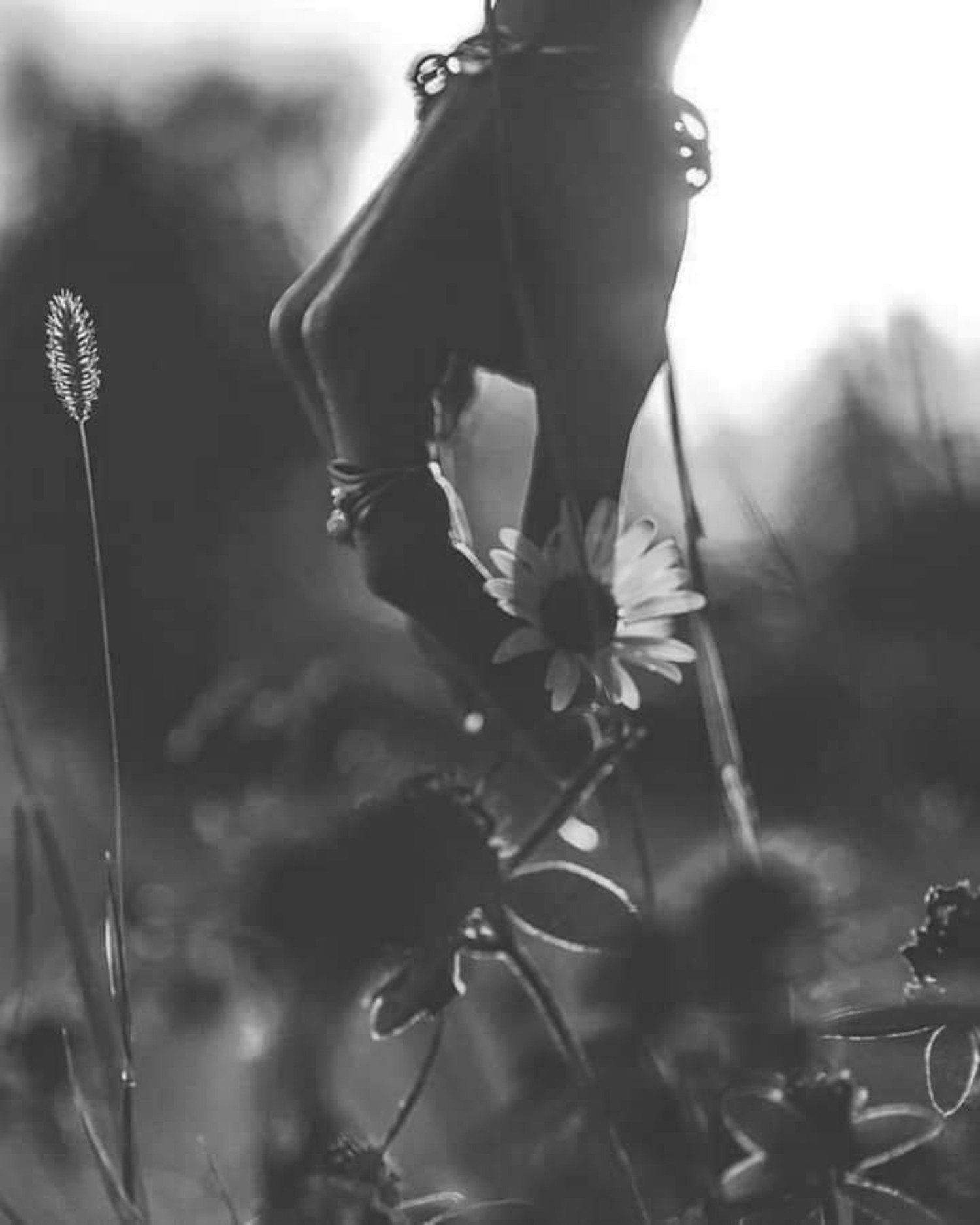 main qui feuille une fleur en noir et blanc